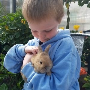 Meet your Posher, Lori